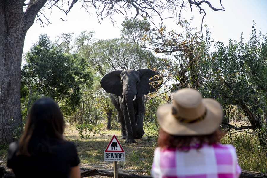 South African Tourism Industry South African Tourism IndustryRemove term: PR in South Africa PR in South AfricaRemove term: media relations in tourism south africa media relations in tourism south africa